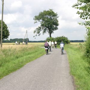 Öffentliche Radtour durchs Münsterland